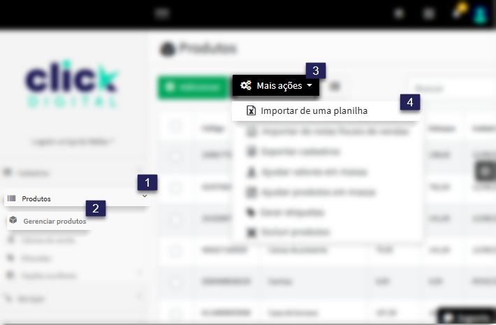 importar planilha.png